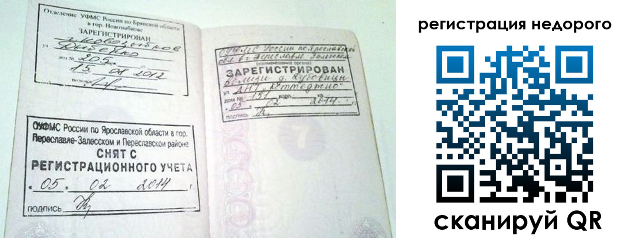 прописка поиск в Полярном